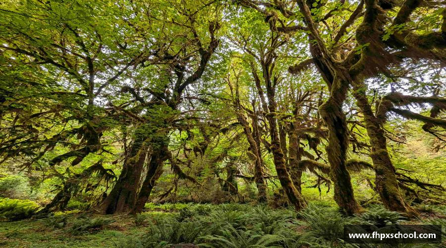 勇敢前行，成功在不远处。